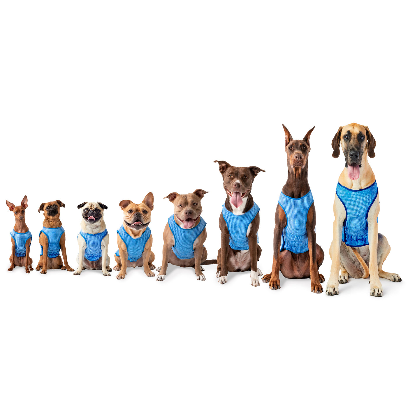 GF Pet Ice Vest