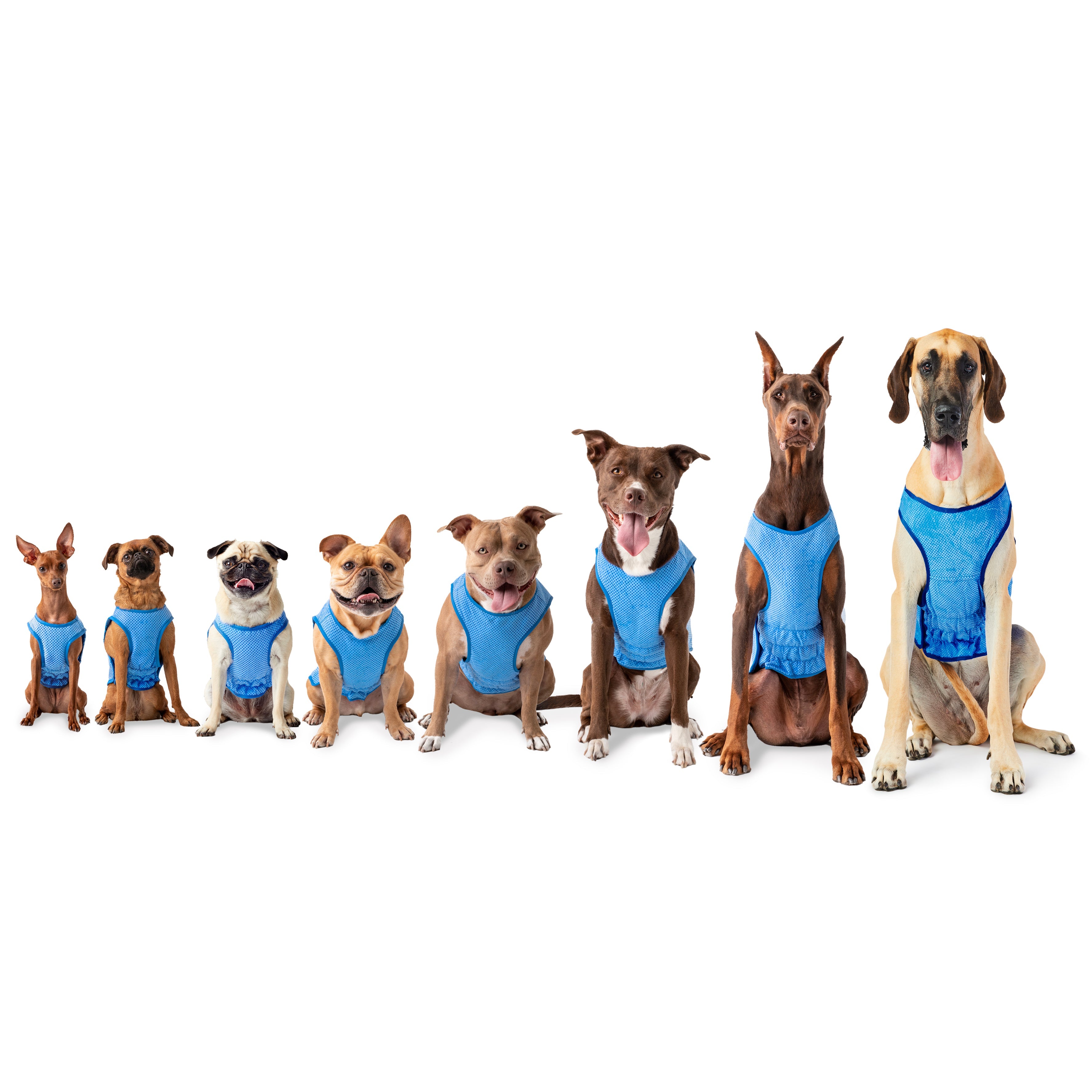 GF Pet Ice Vest