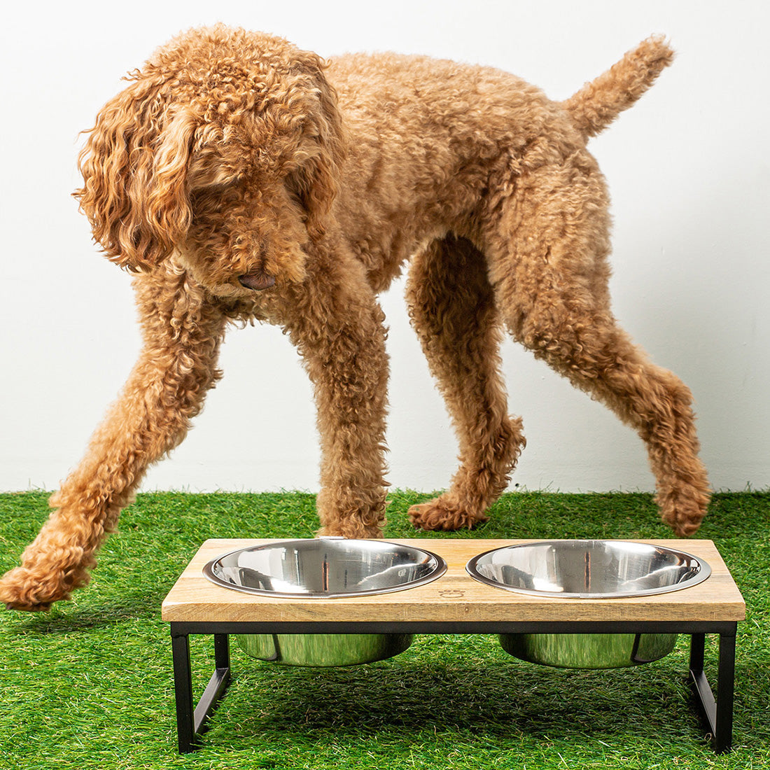 Wood & Metal Elevated Food Bowl