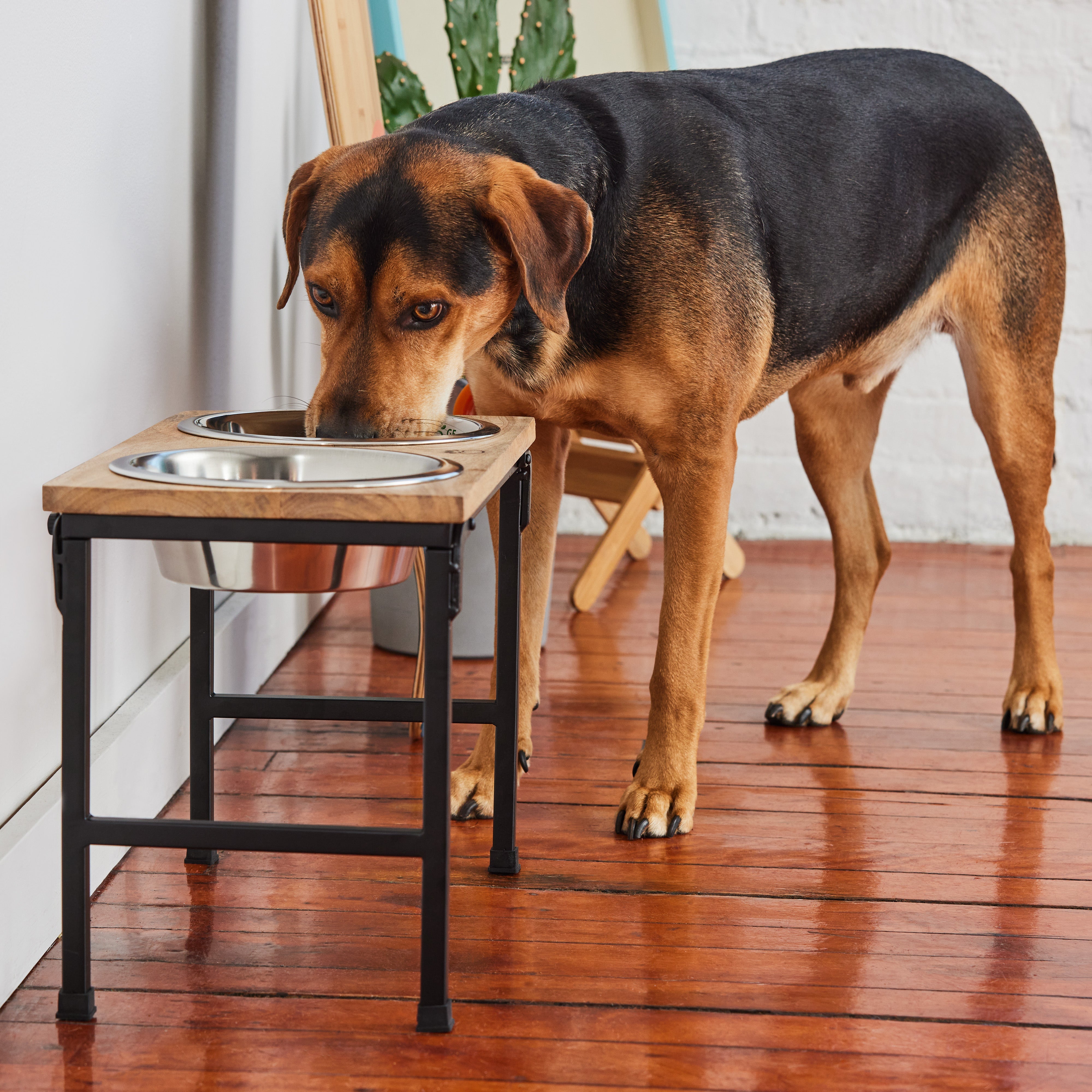 Wood & Metal Elevated Food Bowl