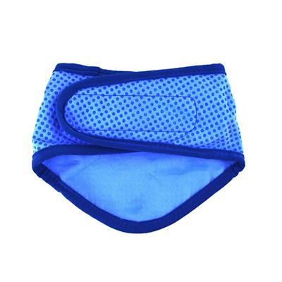 GF Pet Ice Band Bandana