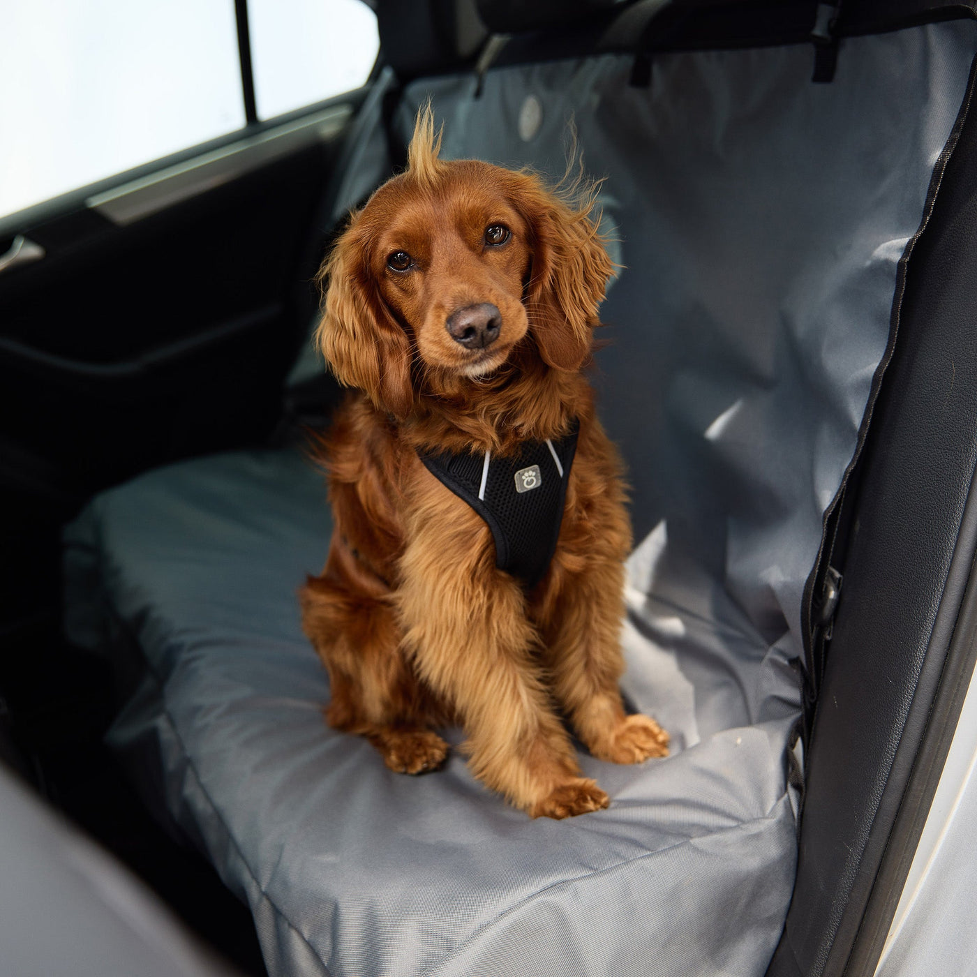 GF Pet Travel Harness - Black