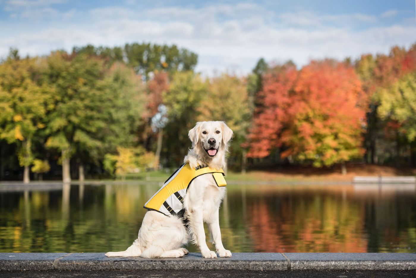 GF Pet Life Vest - Dog Life Jacket