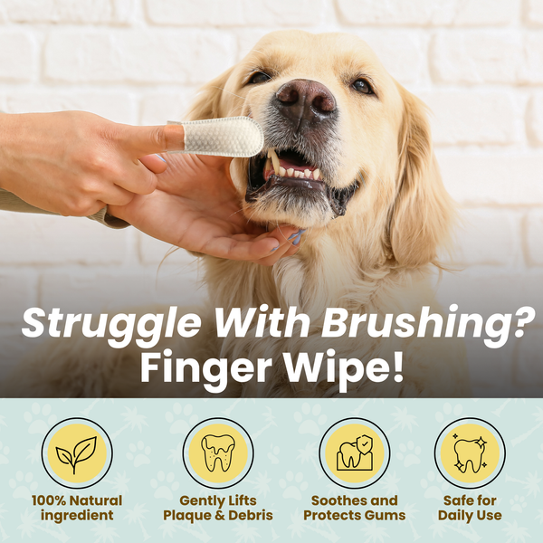 Cocopup Wipes Teeth Cleaning Wipes