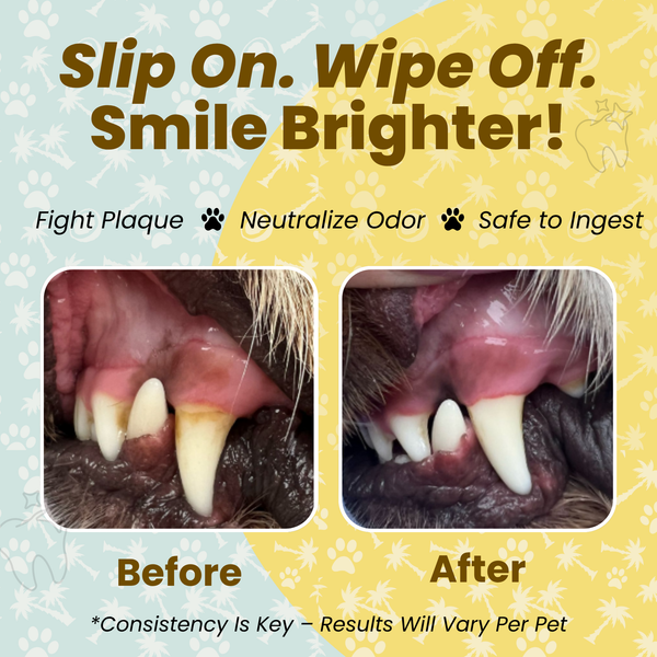 Cocopup Wipes Teeth Cleaning Wipes