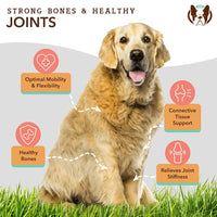 Natural Dog Company Hip & Joint Supplement