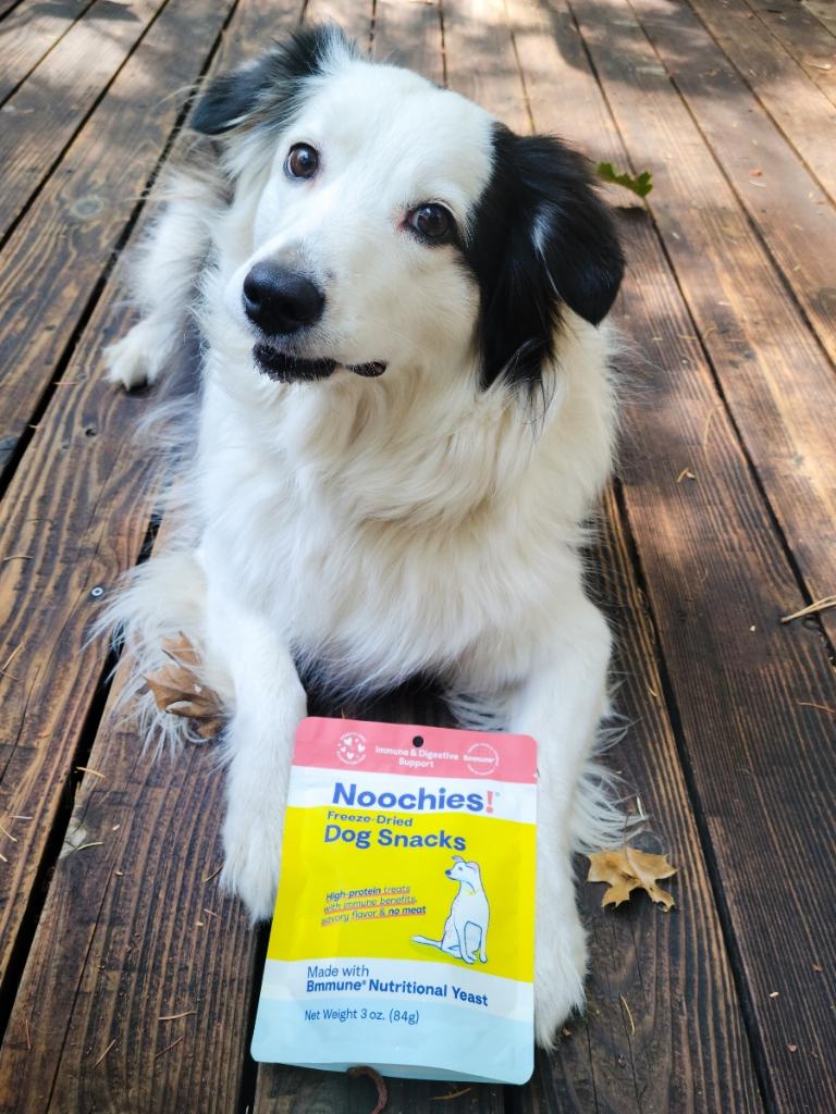 Noochies! Freeze-Dried Dog Snacks