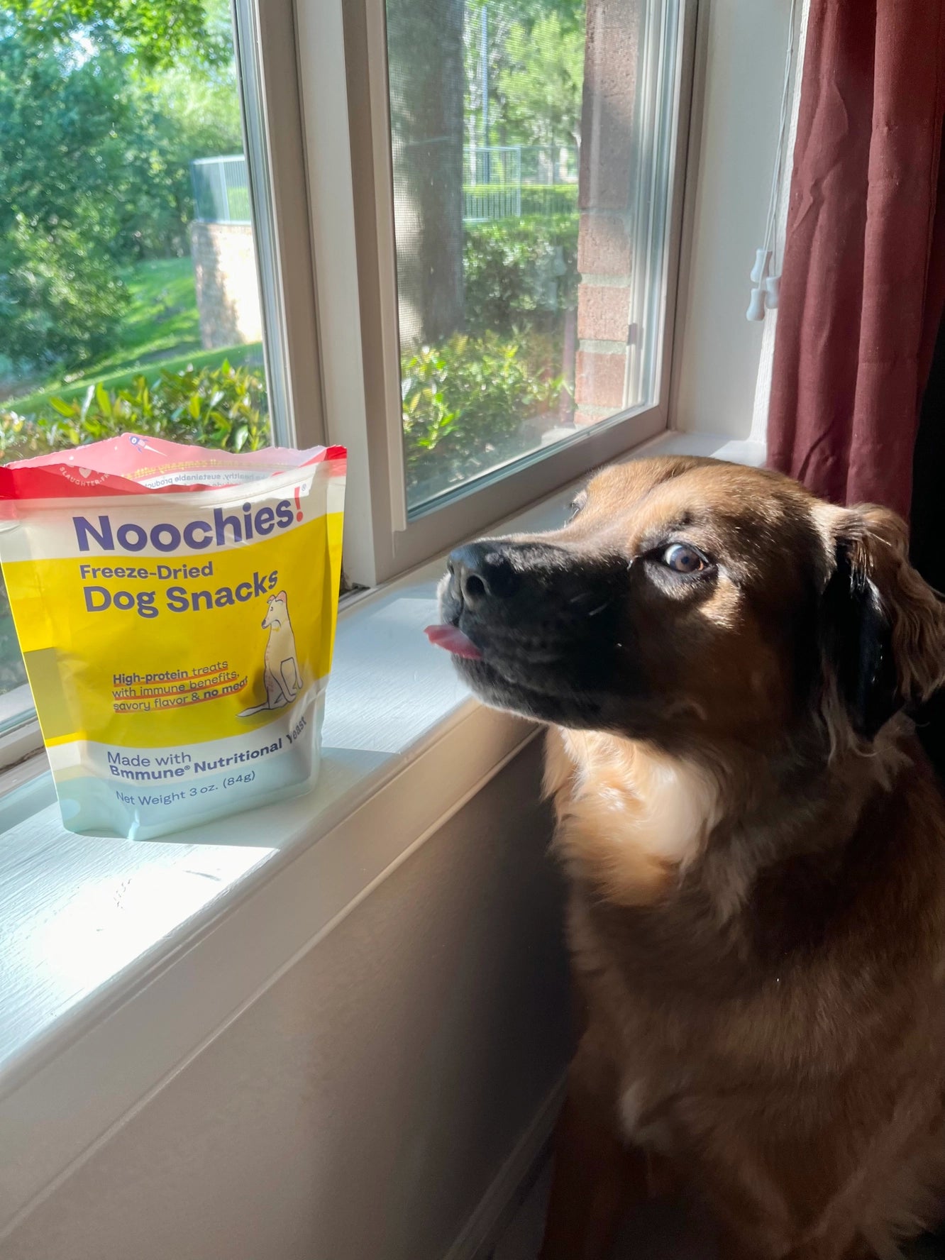 Noochies! Freeze-Dried Dog Snacks