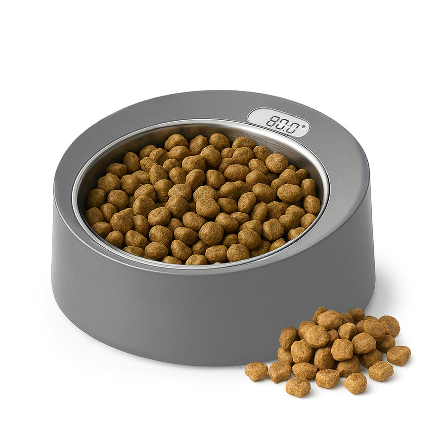 Dog Food Scale and Bowl