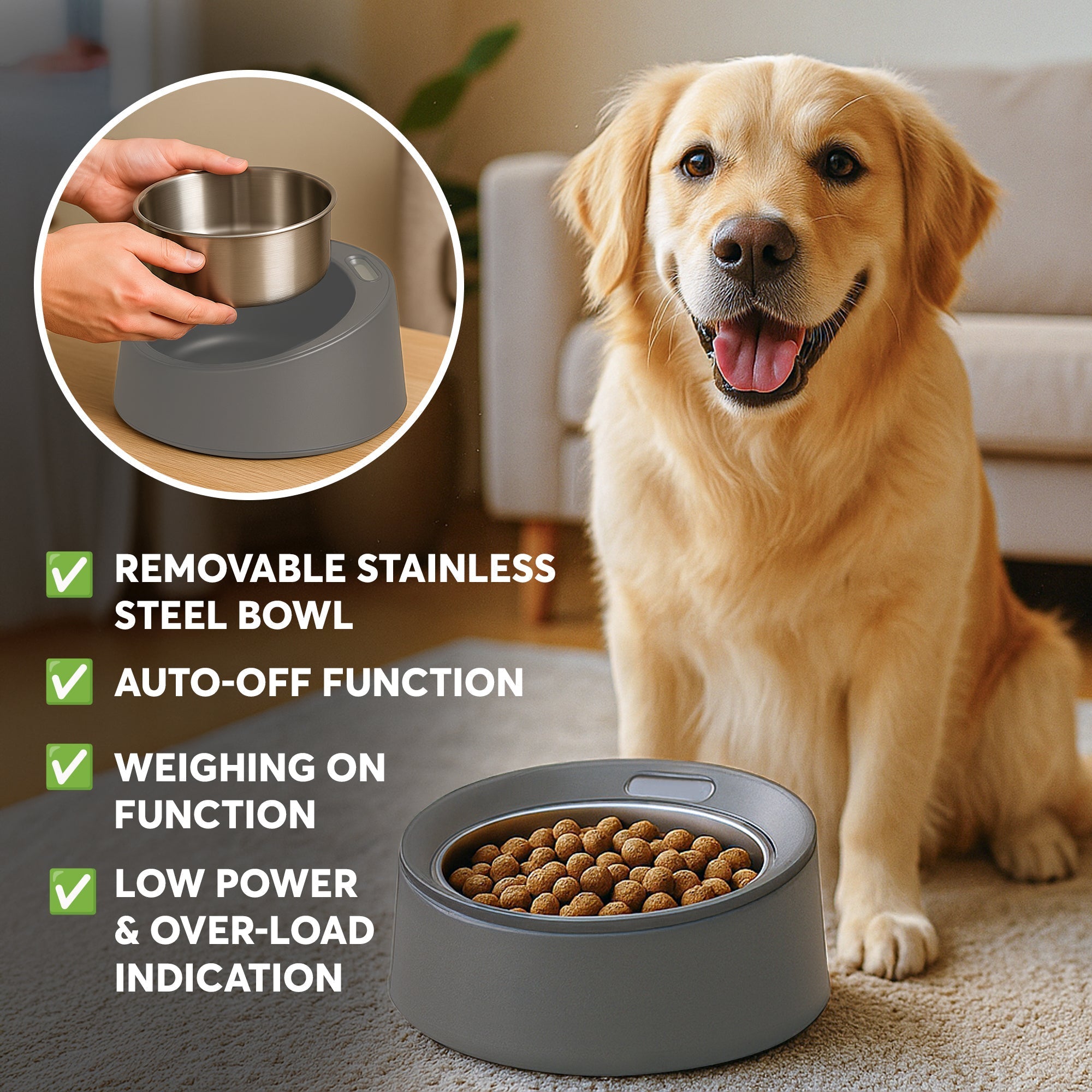 Dog Food Scale and Bowl