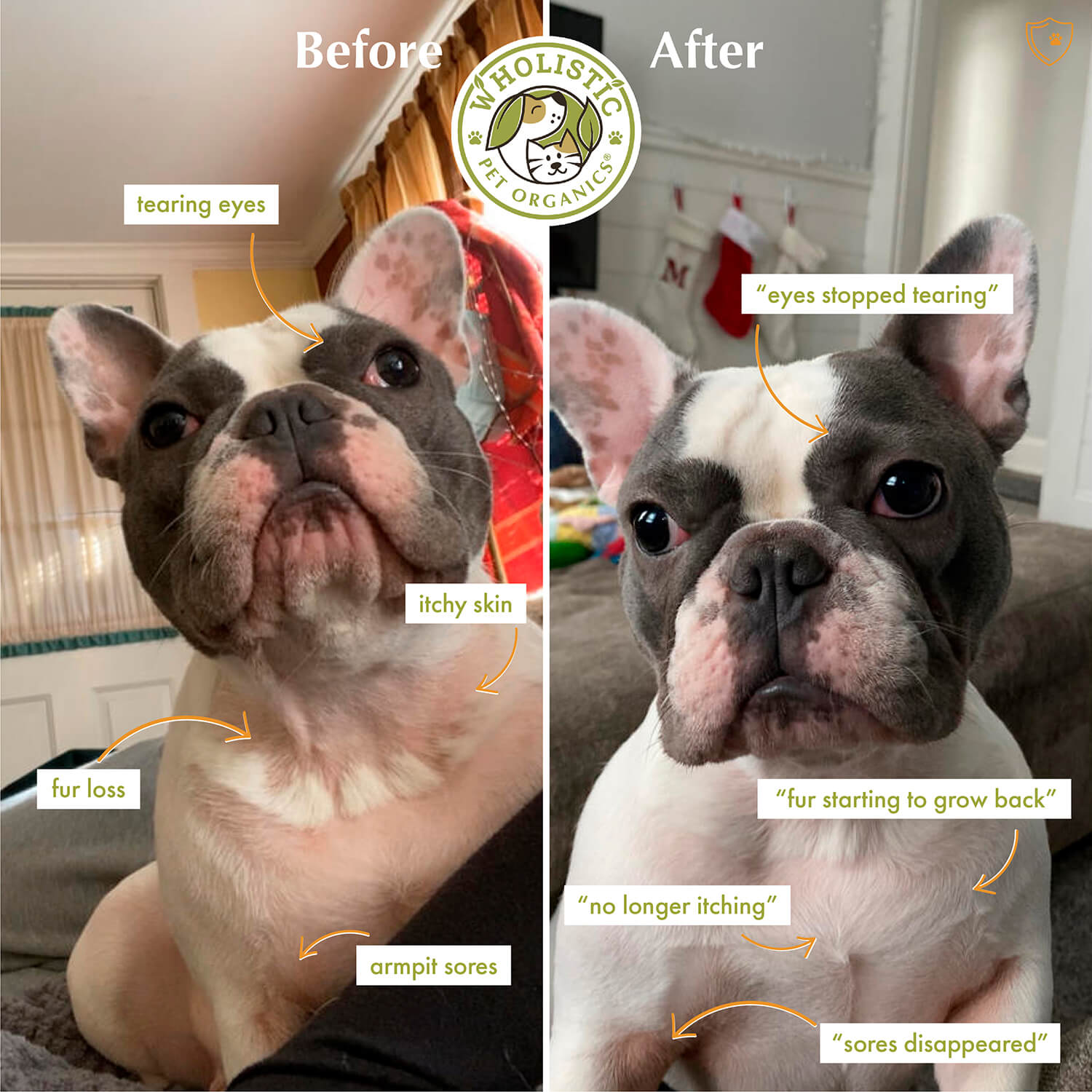 Wholistic Pet Organics Pure Colostrum