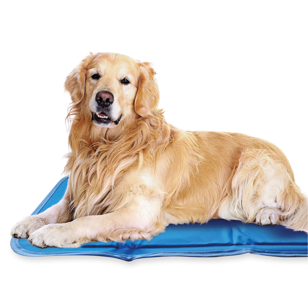 Green Pet Shop Cooling Pad