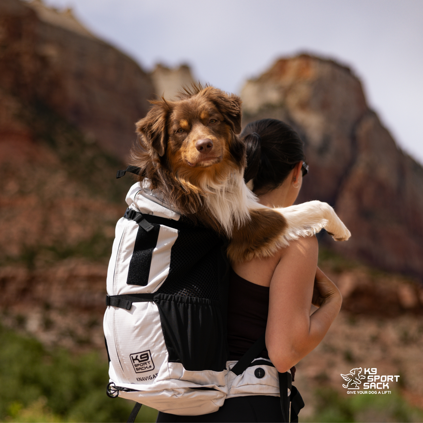K9 Sport Sack Knavigate, Advanced Dog Carrier with Internal Frame & Hip Belt