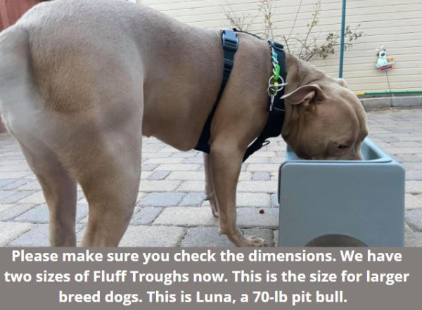 Dog drinking from a Fluff Trough in an outdoor setting