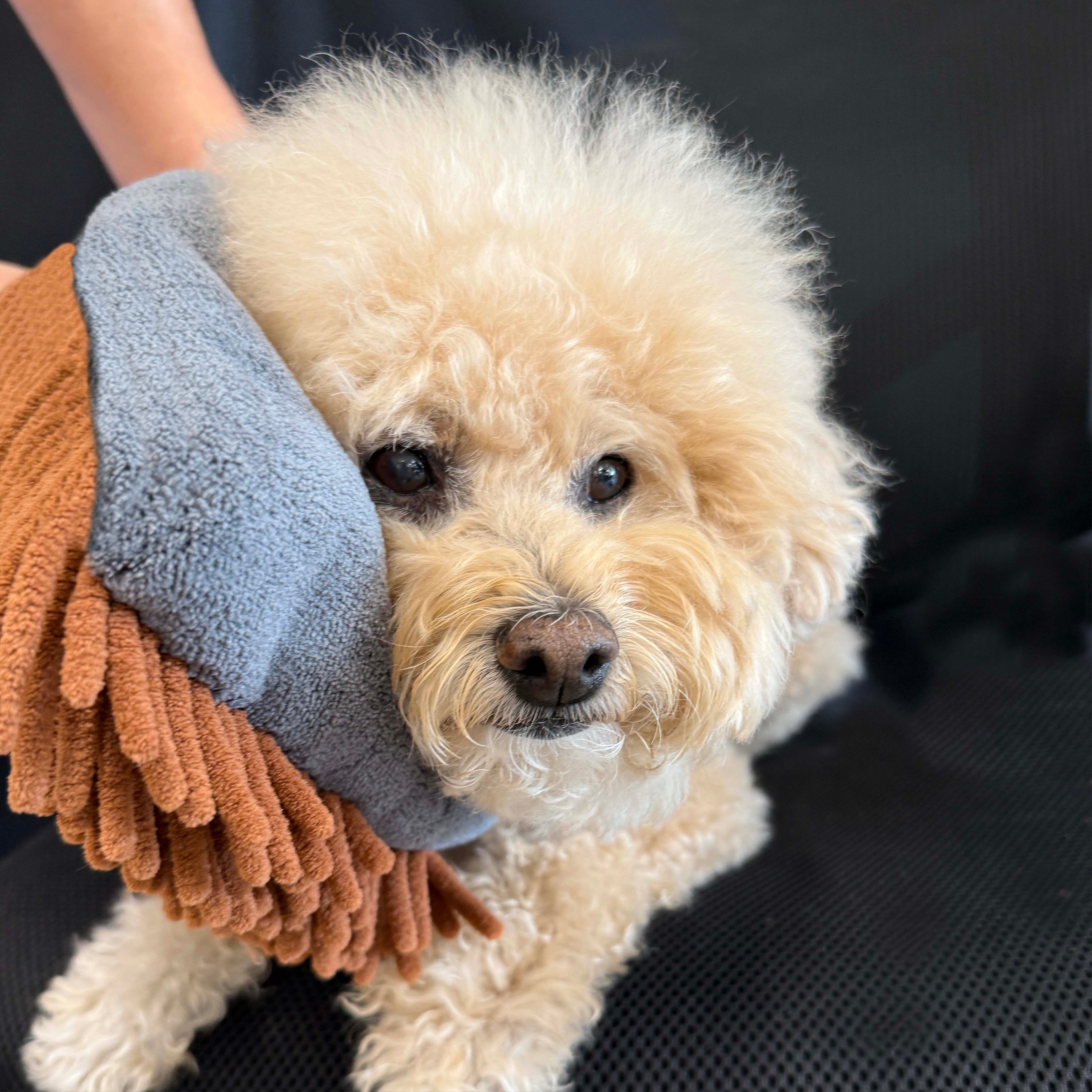 PRIDE+GROOM The Magic Mitt