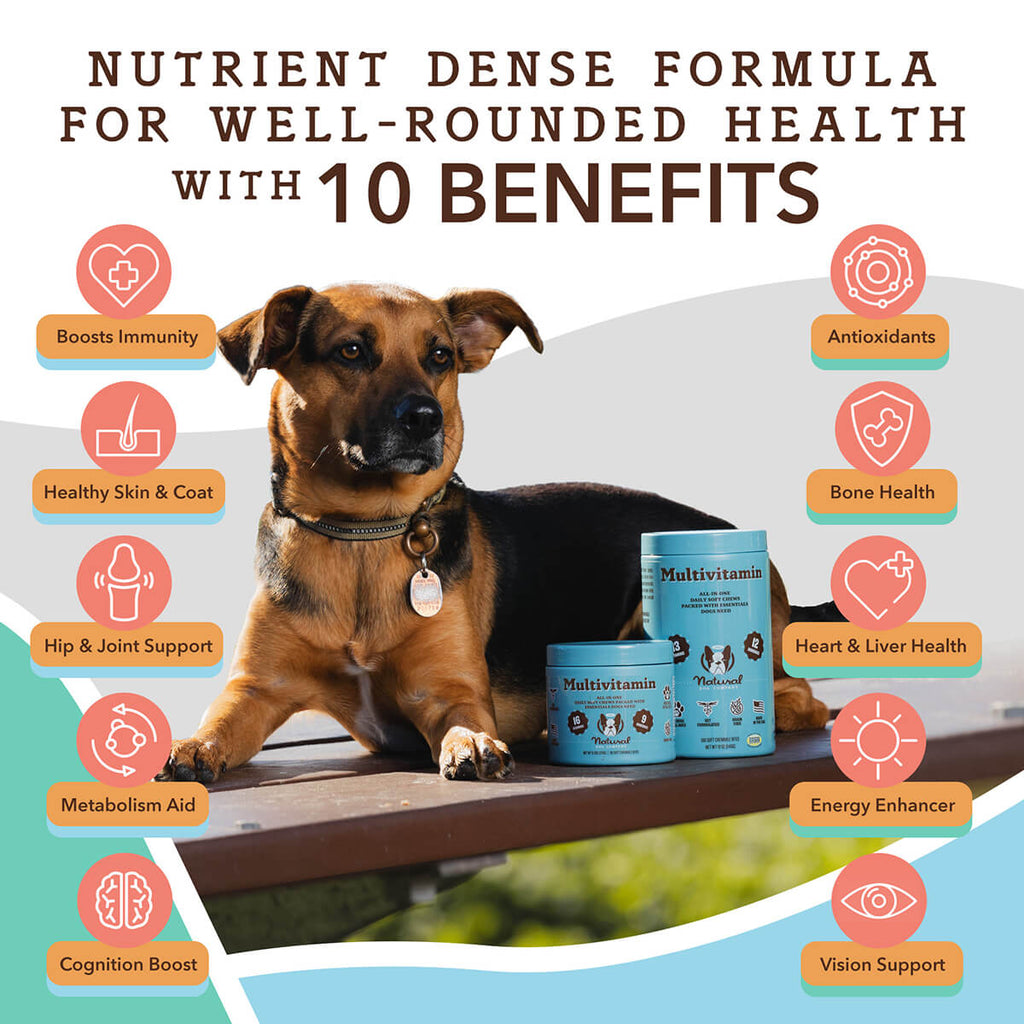 Natural Dog Company Multivitamin Supplement