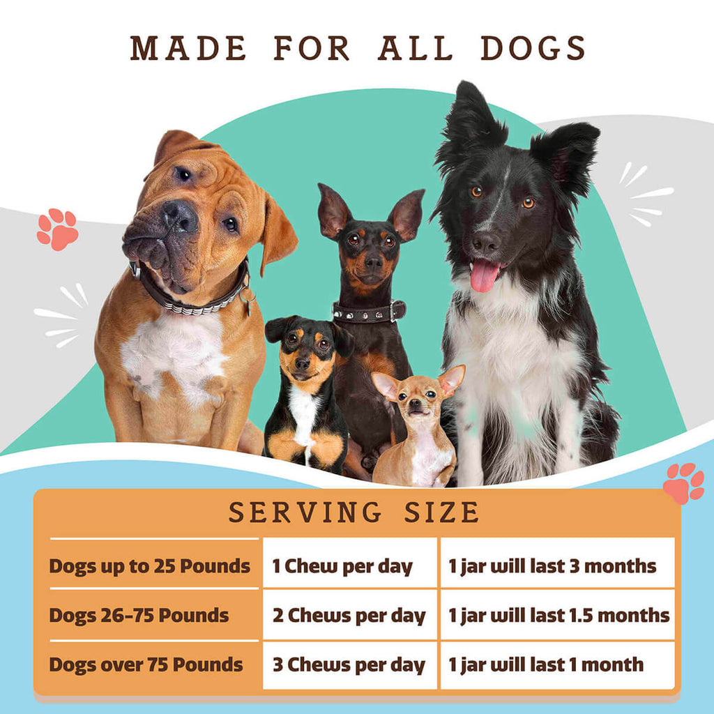 Natural Dog Company Multivitamin Supplement