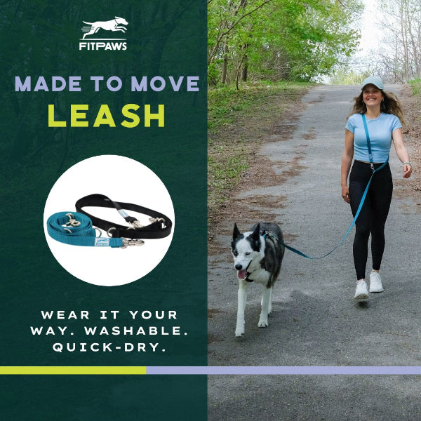 Made to Move Leash for Dogs