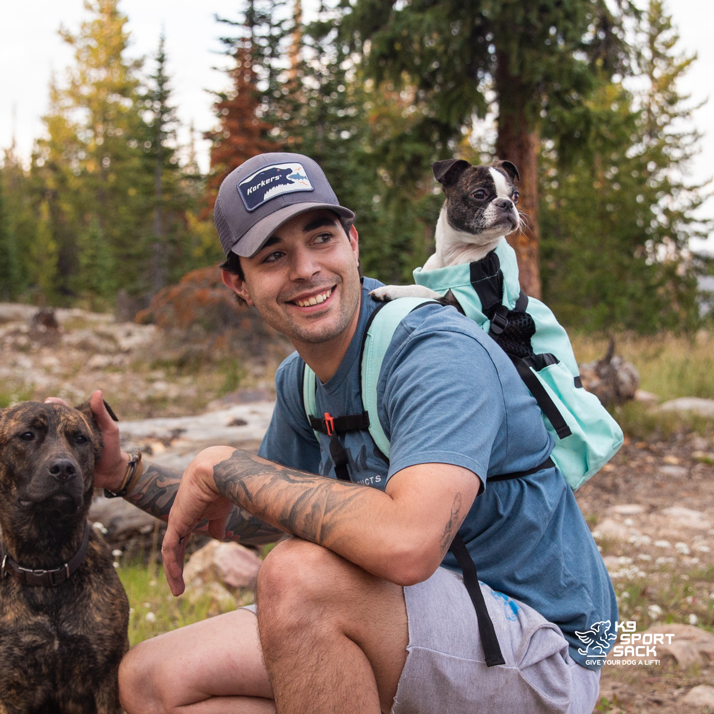 K9 Sport Sack Air 2, The Original Backpack Dog Carrier