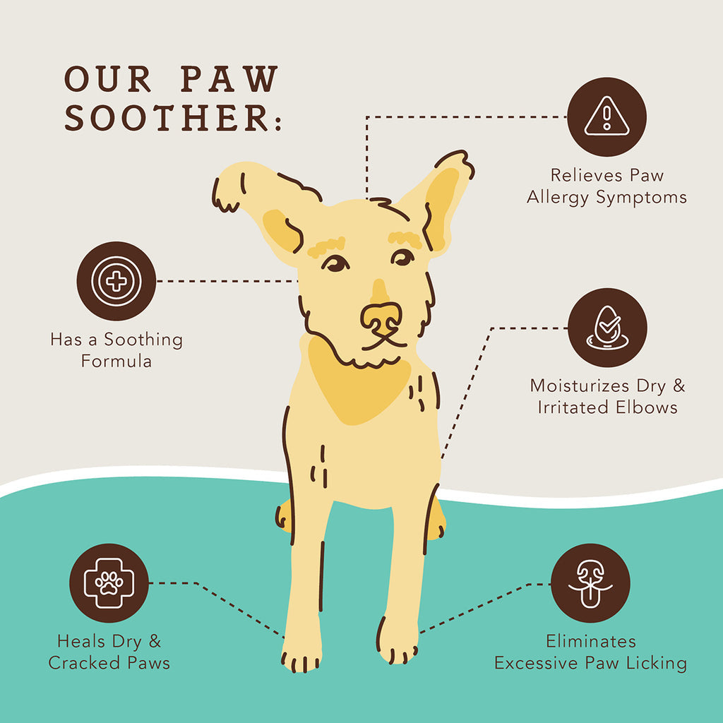 Natural Dog Company Paw Soother Balm for Dogs