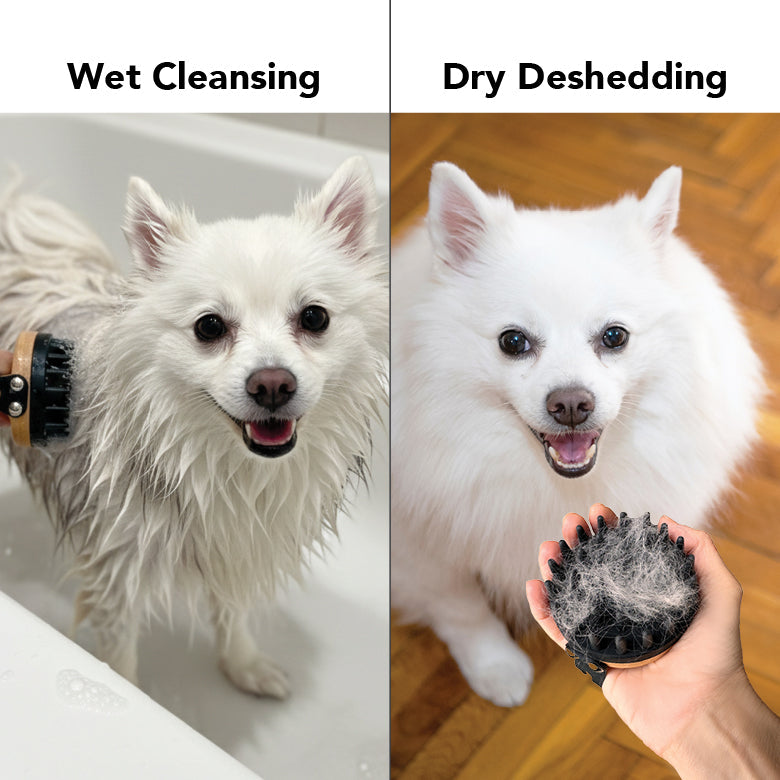 PRIDE+GROOM The Bath Brush