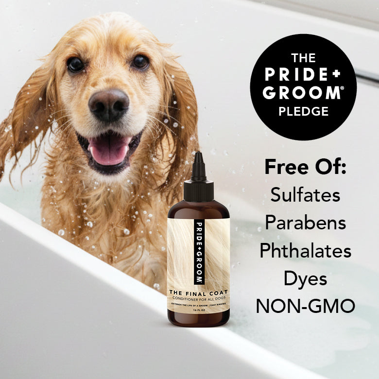 PRIDE+GROOM The Final Coat, Conditioner