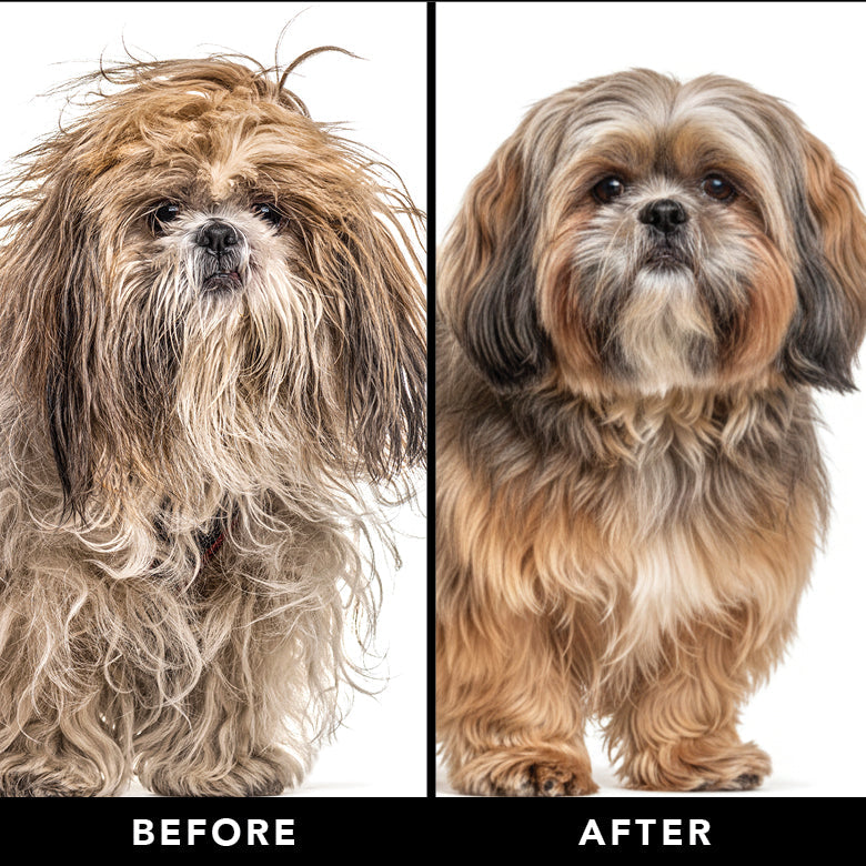 PRIDE+GROOM The Final Coat, Conditioner