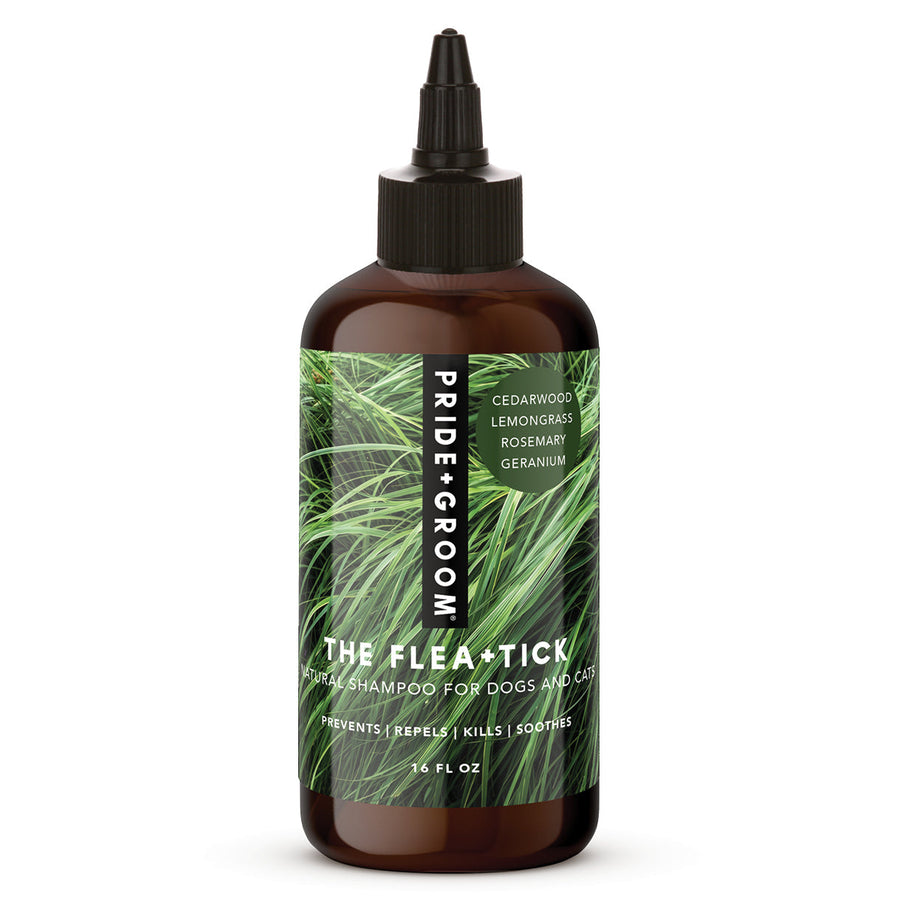 PRIDE+GROOM Flea + Tick Shampoo