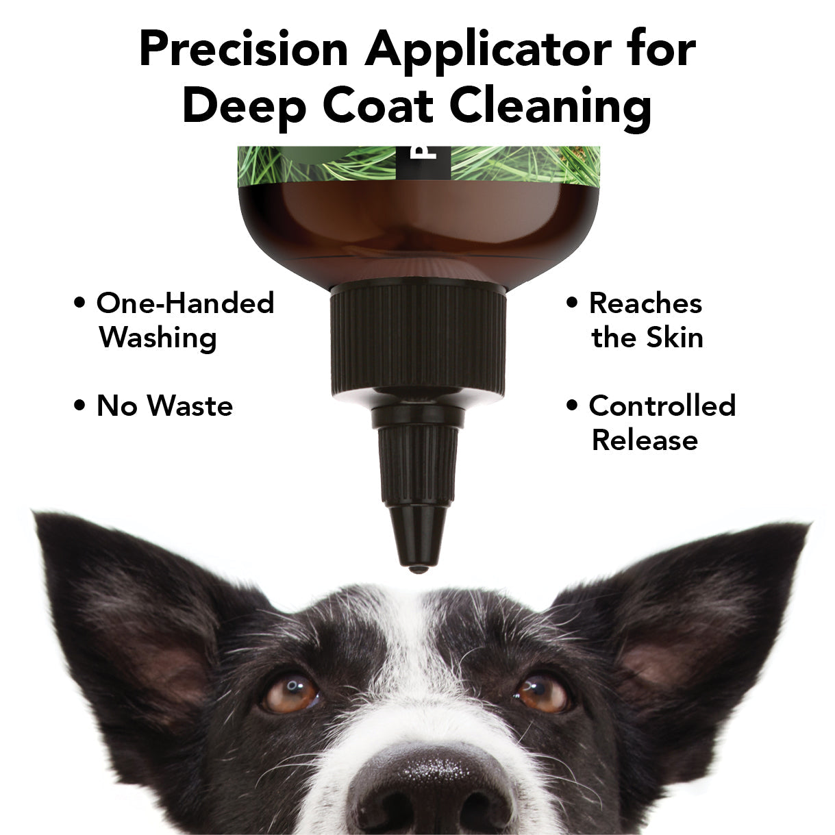 PRIDE+GROOM Flea + Tick Shampoo