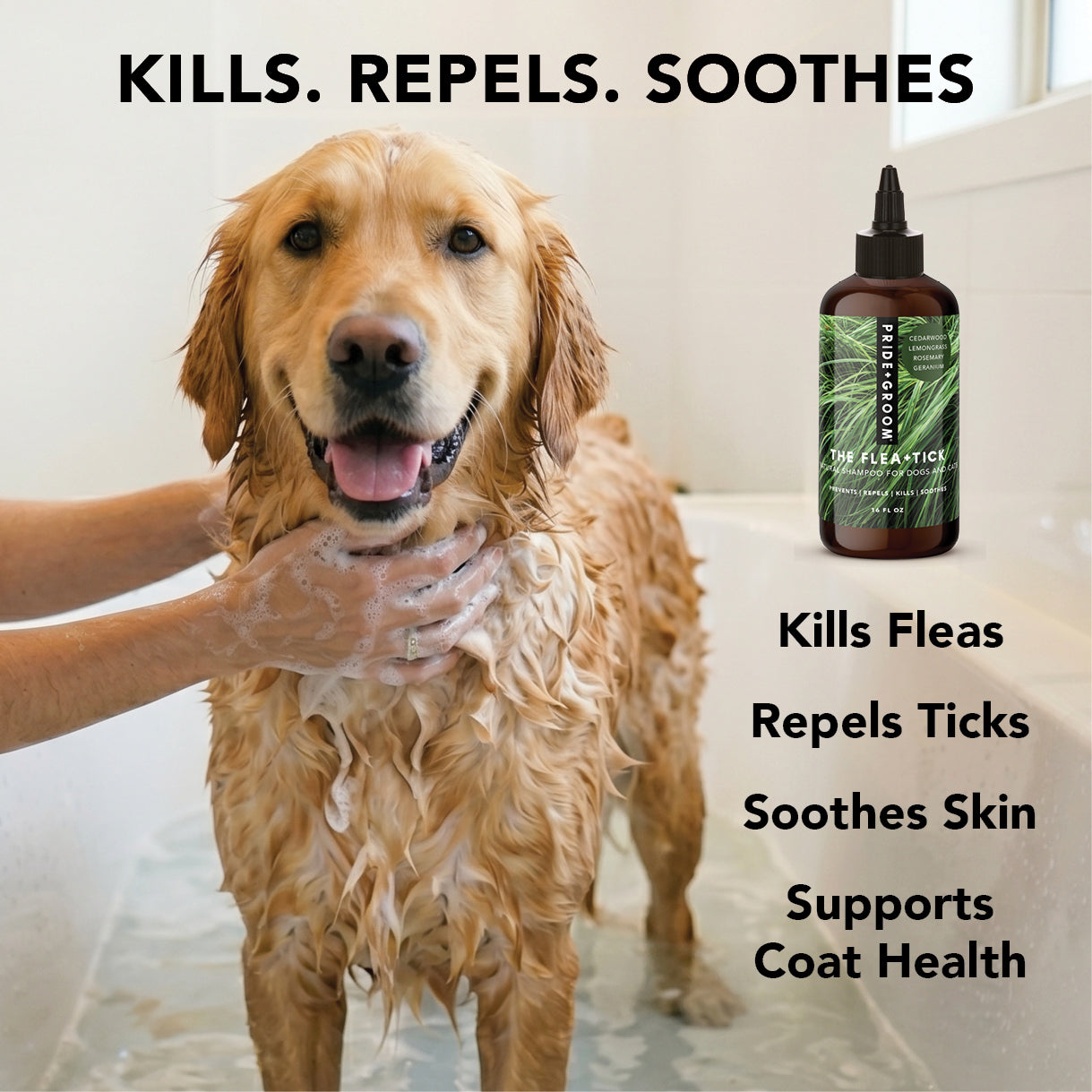 PRIDE+GROOM Flea + Tick Shampoo
