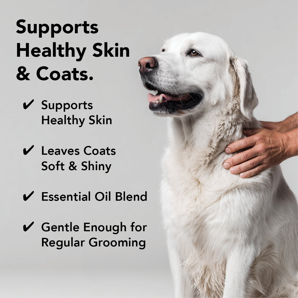 PRIDE+GROOM Flea + Tick Shampoo