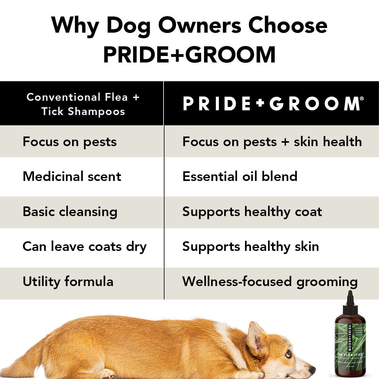 PRIDE+GROOM Flea + Tick Shampoo