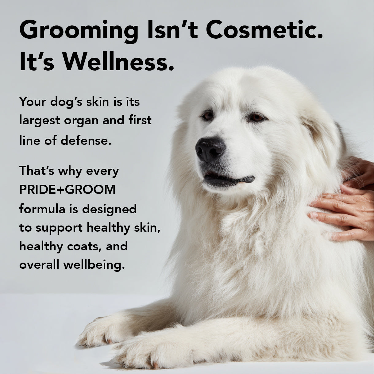 PRIDE+GROOM Flea + Tick Shampoo