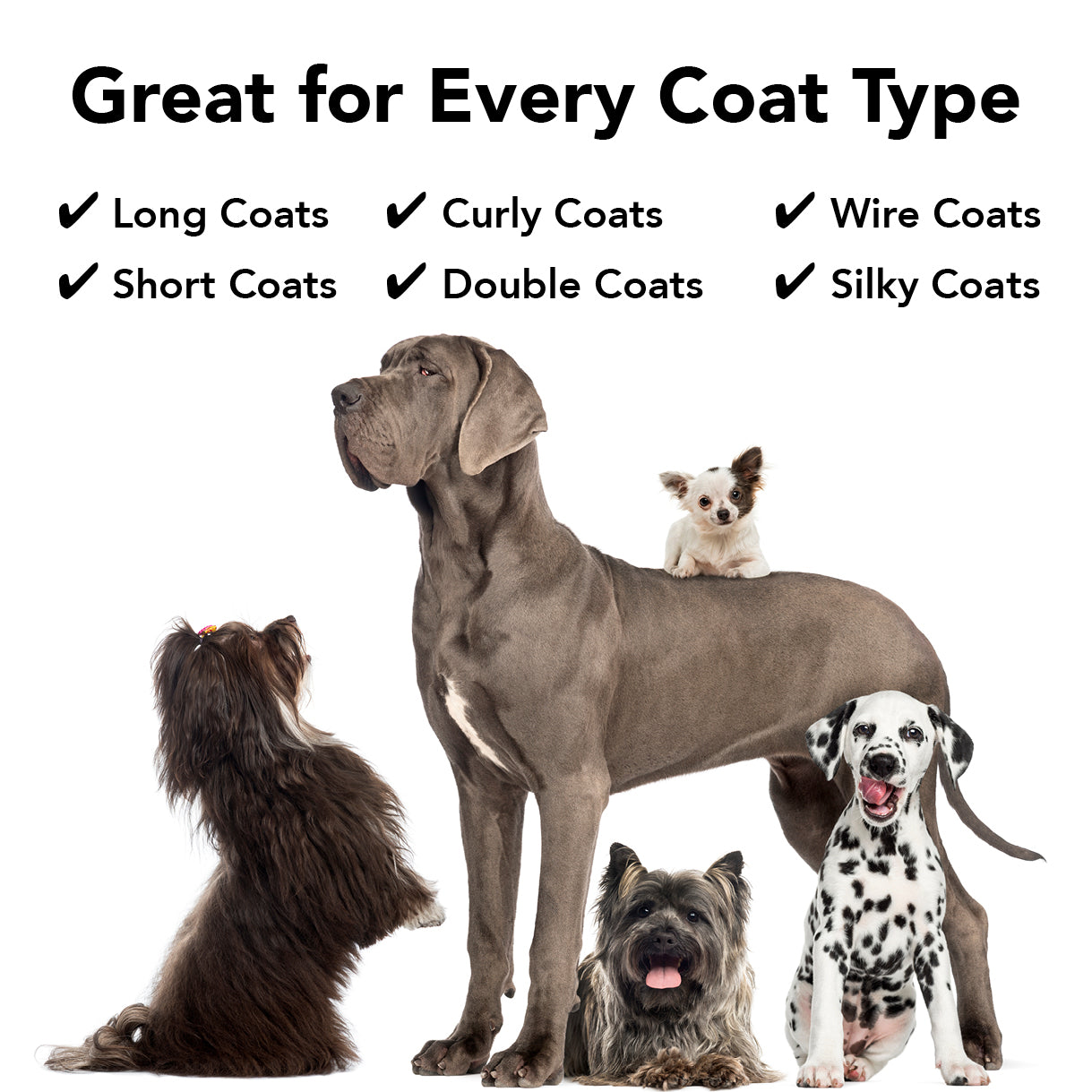 PRIDE+GROOM Flea + Tick Shampoo