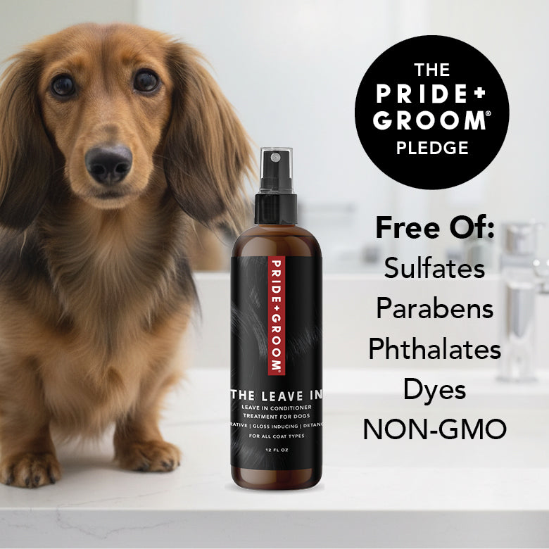 PRIDE+GROOM The Leave In, Conditioner