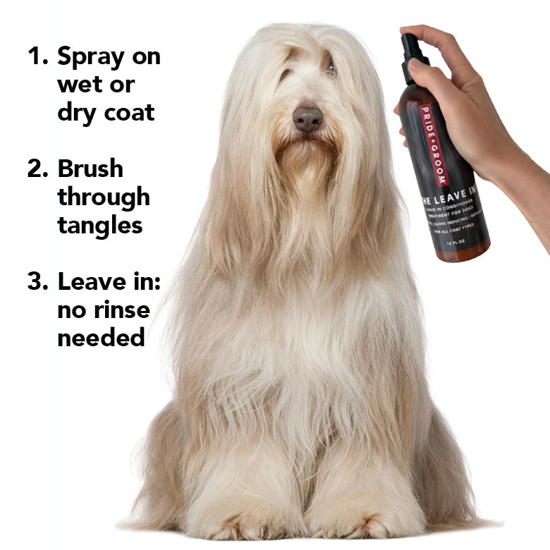 PRIDE+GROOM The Leave In, Conditioner