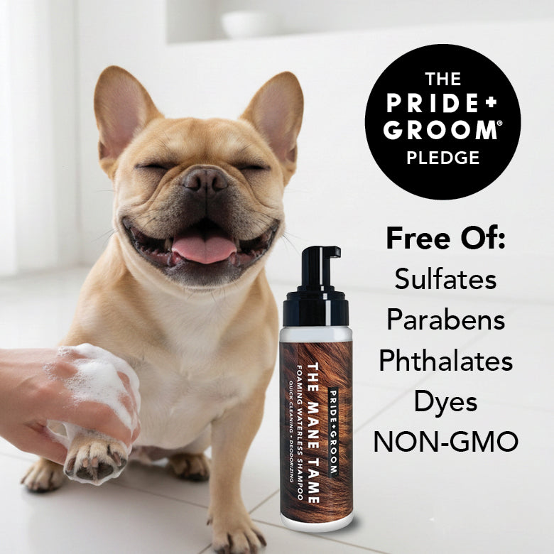PRIDE+GROOM The Mid Groom Kit