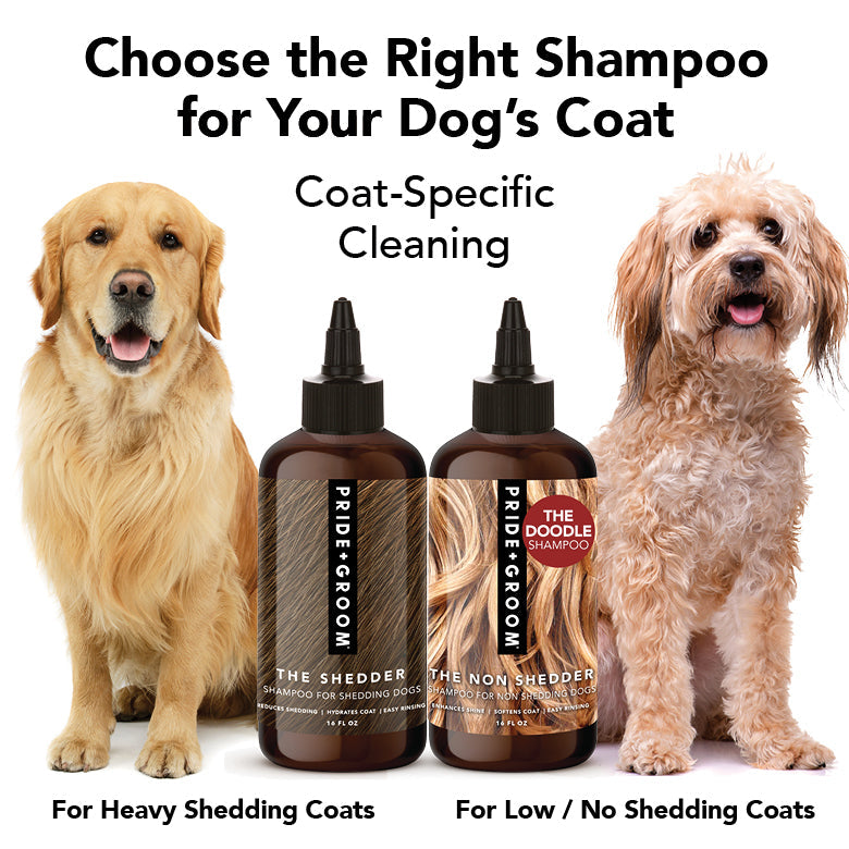 PRIDE+GROOM The Shedder