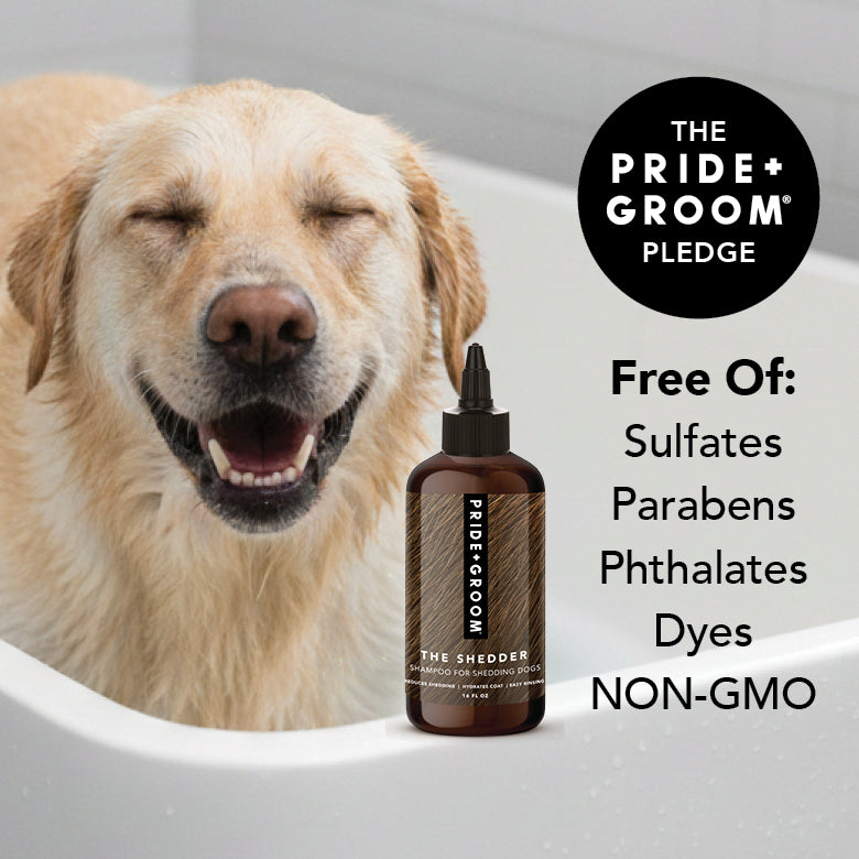 PRIDE+GROOM The Shedder