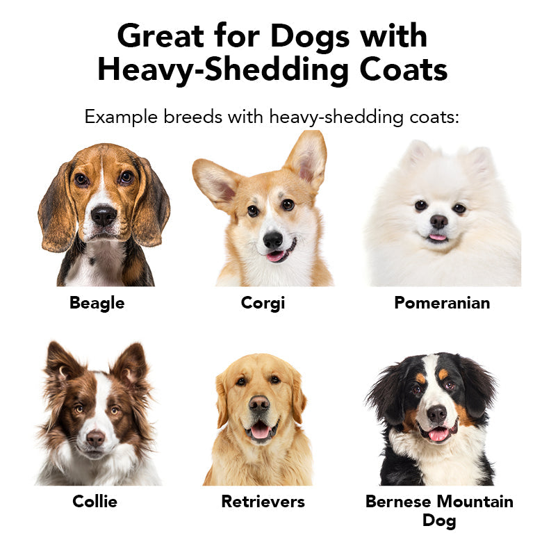 PRIDE+GROOM The Shedder