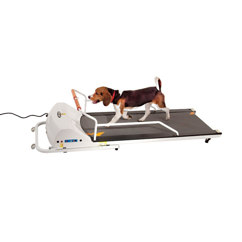 GoPet Treadmill for Dogs