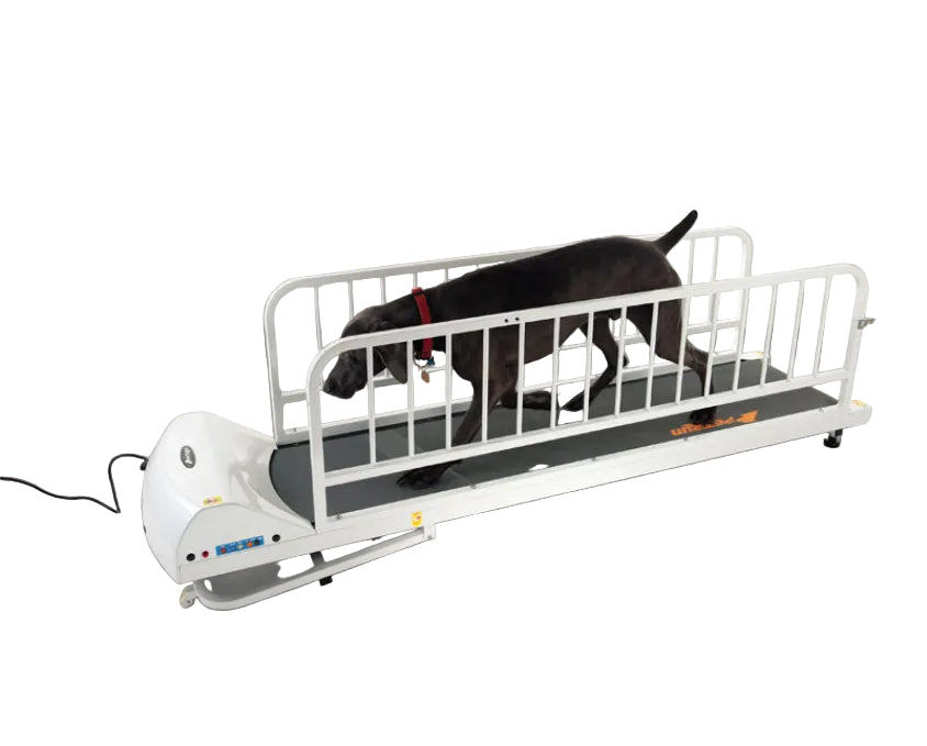 GoPet Treadmill for Dogs