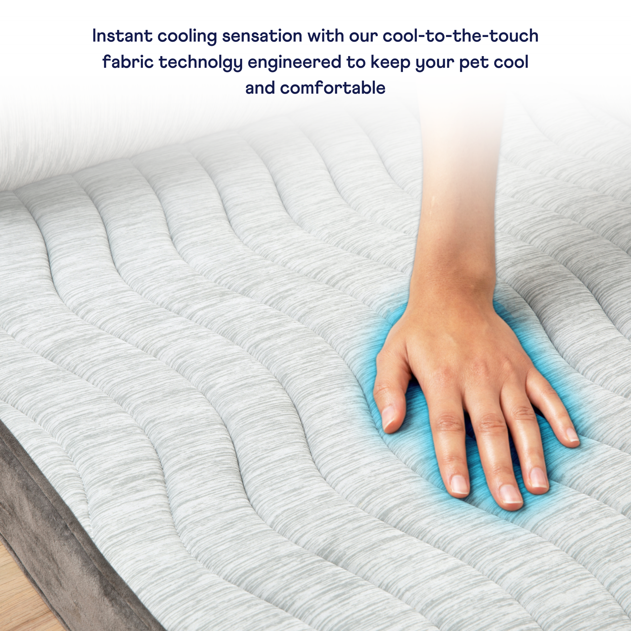 Hand touching a cooling pet bed with text about cool-to-the-touch fabric technology.