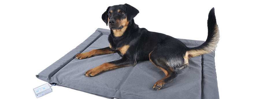 Respond Animal Therapeutics Bio-Pulse PEMF Bed Therapy System