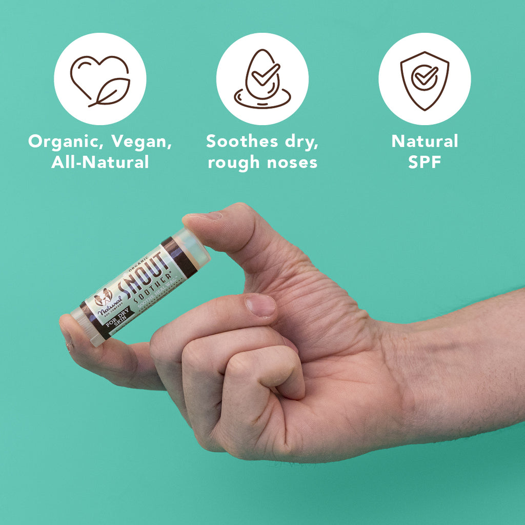 Natural Dog Company Snout Soother Balm