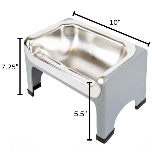Stainless steel pet bowl on a stand with dimensions labeled