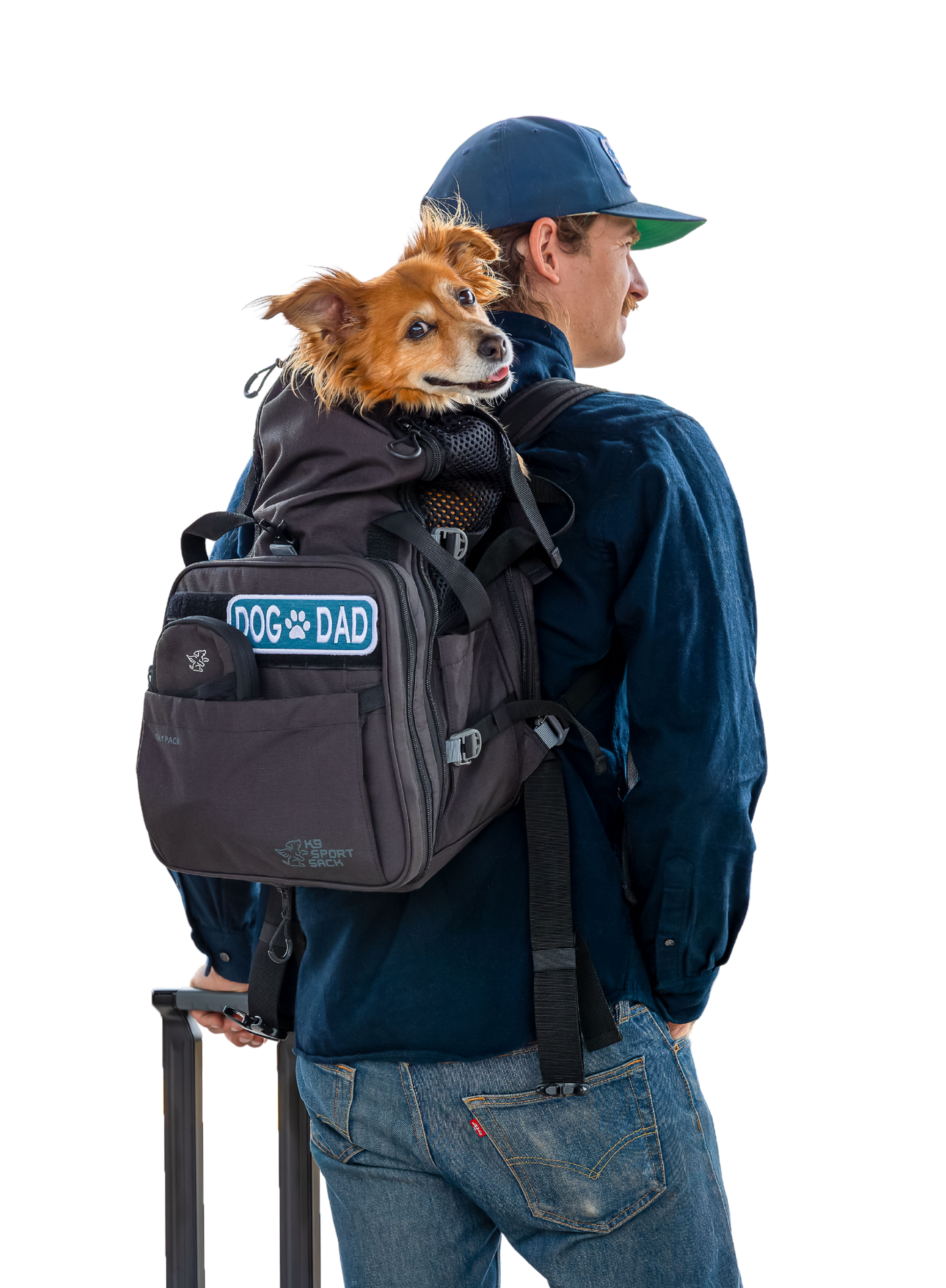 Person wearing a backpack with a dog sticking out, holding a suitcase.