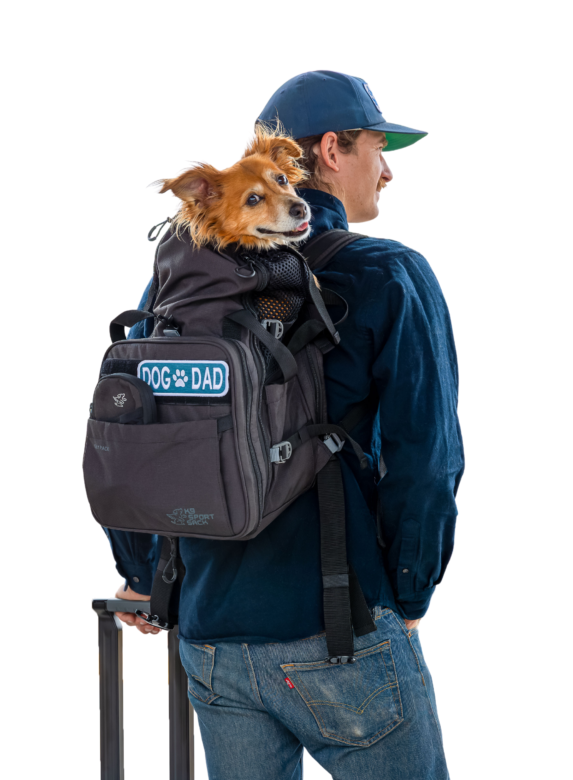 Person wearing a backpack with a dog sticking out, holding a suitcase.