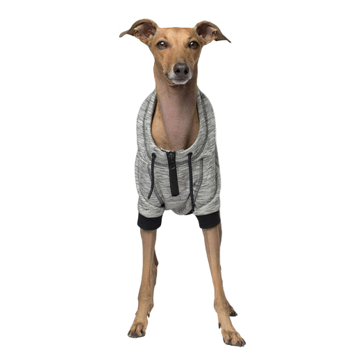 Dog wearing a gray hoodie with black accents on a light gray background