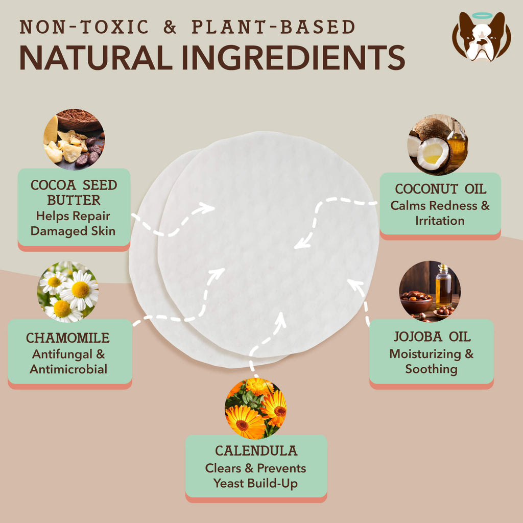 Natural Dog Company Paw Wipes for Dogs
